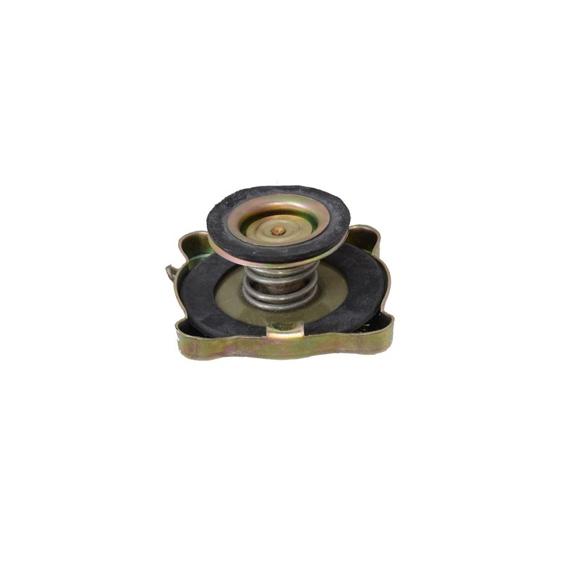 Cap, coolant reservoir