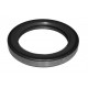 Oil seal