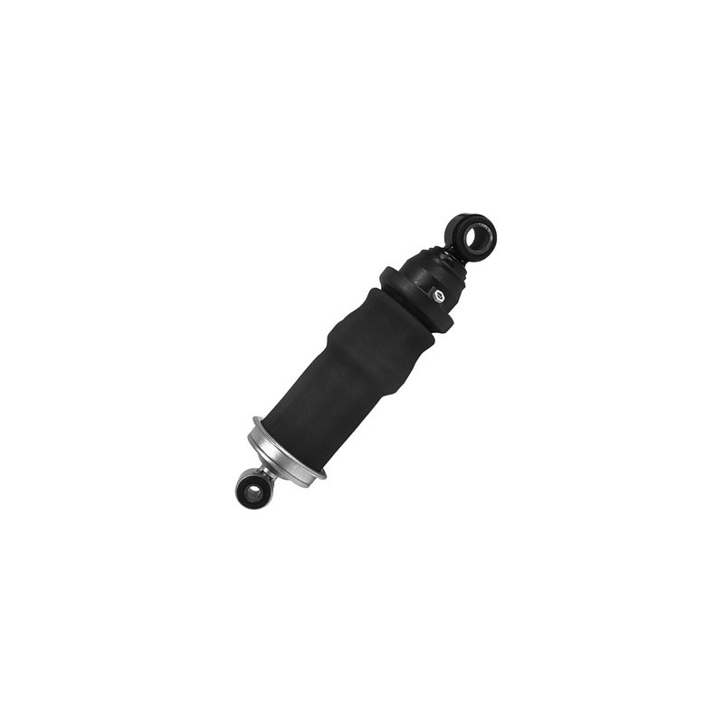 Air spring for cabin, front