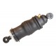 Air spring for cabin, rear