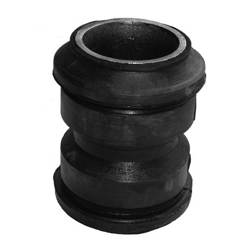 Rubber mounting for spring
