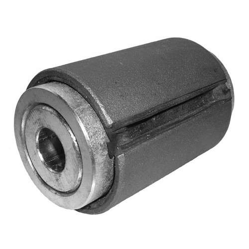 Spring eye bushing