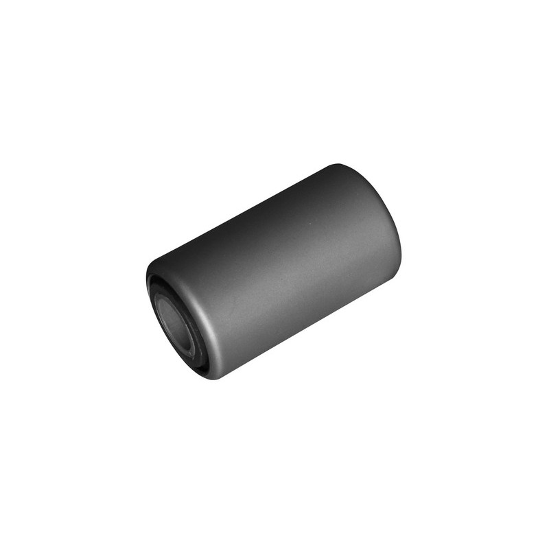 Spring eye bushing