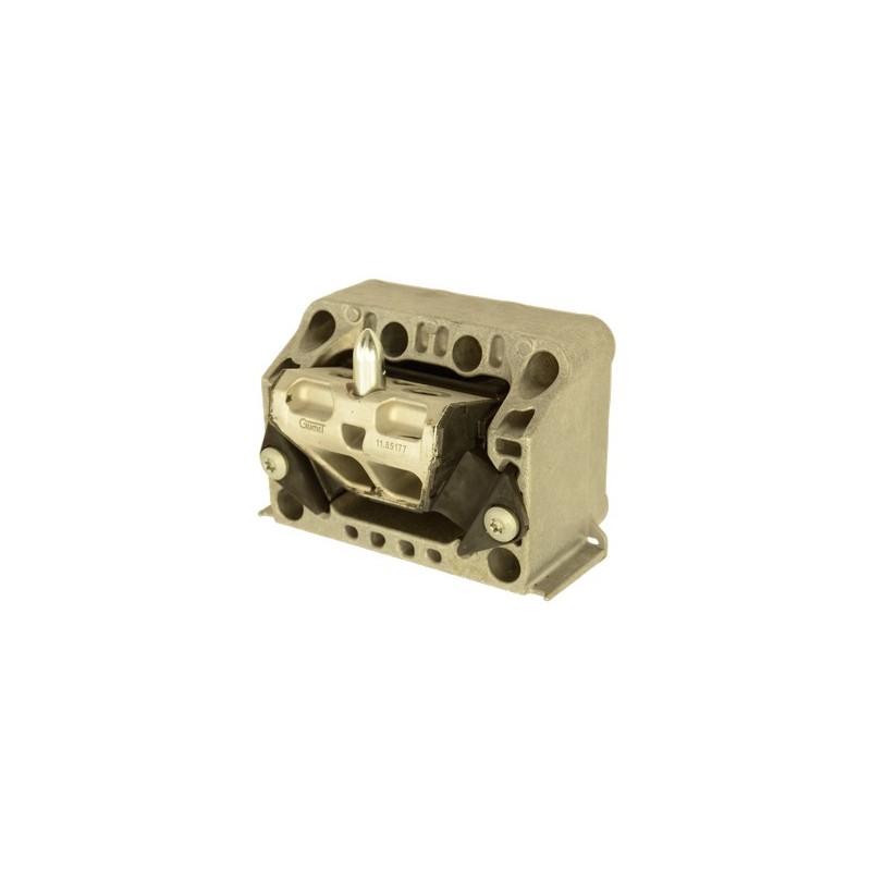 Engine mounting, front