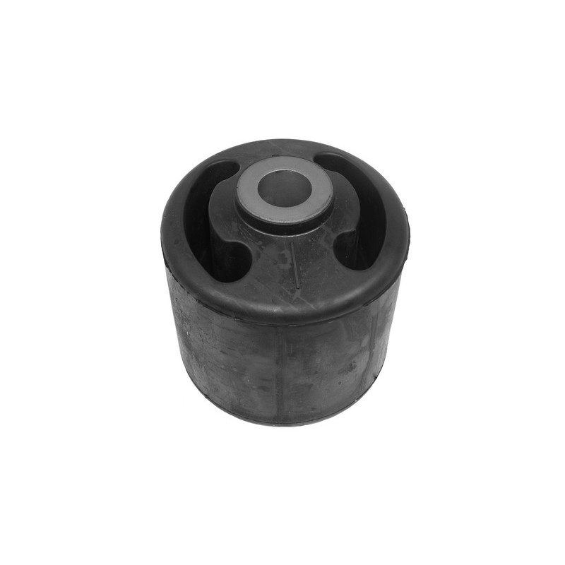Bushing, leaf spring